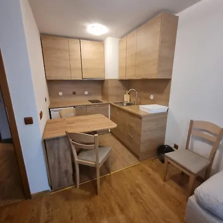 Apartment La Pierre *